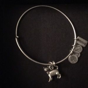 Alex and Ani bangle